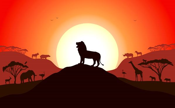 Lion King